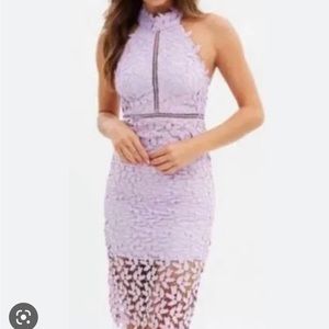 Bardot Gemma Lace Dress in lavender